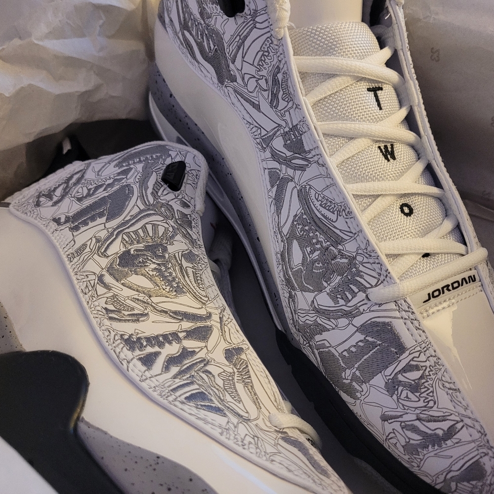 11.5 jordans dub zero